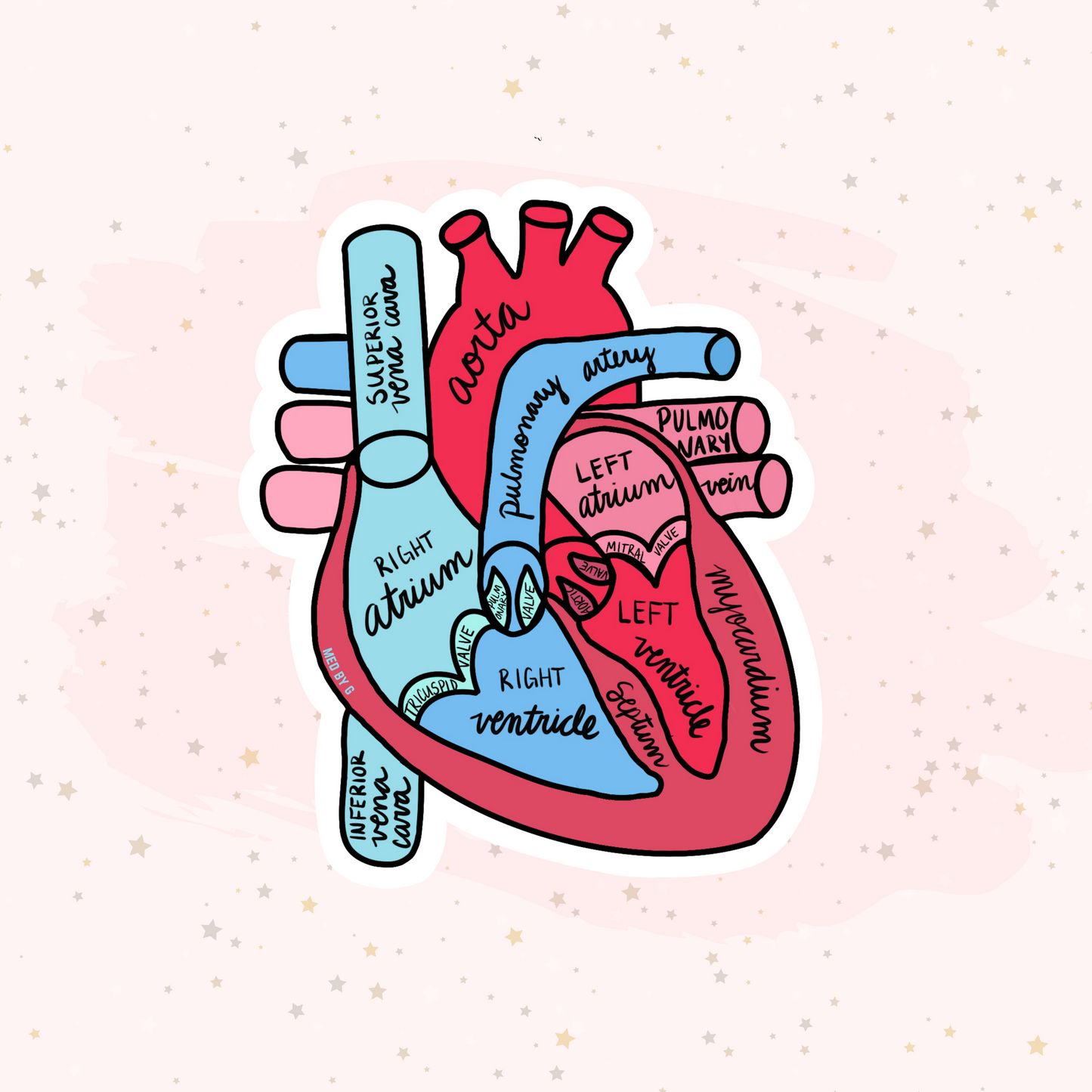 Anatomy: Heart (Sticker)