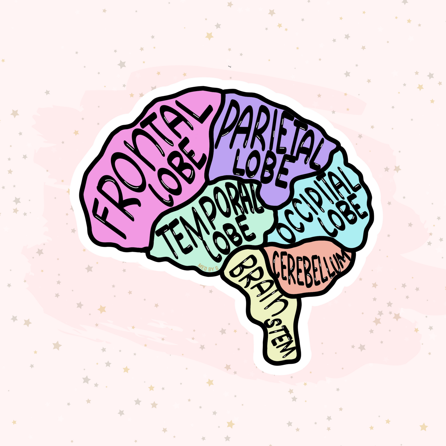 Anatomy: Brain (Sticker)